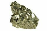 Gleaming Pyrite Crystal Cluster - Peru #291974-1